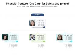 Financial treasurer org chart for data management infographic template