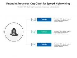 Financial treasurer org chart for speed networking infographic template