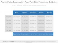 Financial value segmentation powerpoint slide presentation guidelines