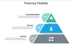 financing_flexibility_ppt_powerpoint_presentation_ideas_deck_cpb_Slide01