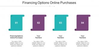 Financing Options Online Purchases Ppt Powerpoint Presentation Gallery Skills Cpb