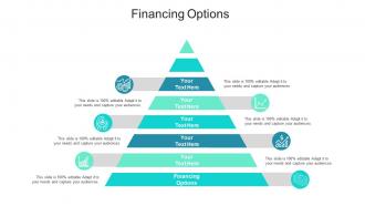Financing options ppt powerpoint presentation summary smartart cpb