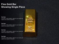 Fine gold bar showing single piece