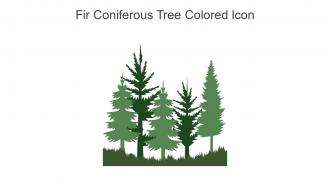 Fir Coniferous Tree Colored Icon In Powerpoint Pptx Png And Editable Eps Format
