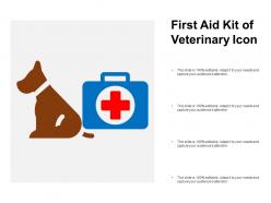 First aid kit of veterinary icon