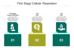 First stage cellular respiration ppt powerpoint presentation slides ideas cpb