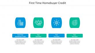 First time homebuyer credit ppt powerpoint presentation infographic template skills cpb
