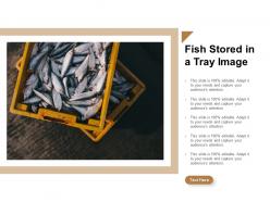Fish stored in a tray image