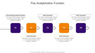 Five Acetylcholine Function In Powerpoint And Google Slides Cpb