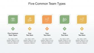 Five Common Team Types Ppt Powerpoint Presentation Summary Show Cpb