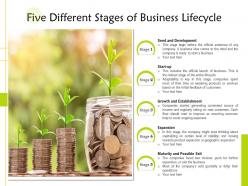 Five different stages of business lifecycle