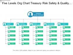 Five levels org chart treasury risk safety and quality for airlines