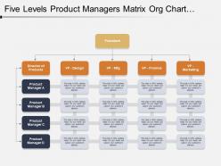 Five levels product managers matrix org chart template