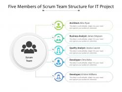 Five members of scrum team structure for it project