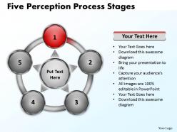 Five perception flow process stages 12