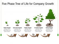 Five phase tree of life for company growth