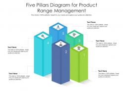 Five pillars diagram for product range management infographic template