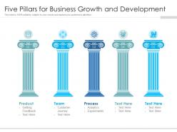 Five pillars for business growth and development