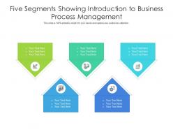 Five Segments Showing Introduction To Business Process Management Infographic Template