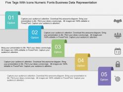 Five tags with icons numeric fonts business data representation flat powerpoint design