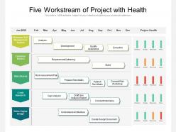 Five workstream of project with health