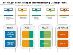 Five year agile business training and transformation roadmap leadership consulting