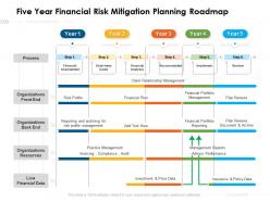 Five year financial risk mitigation planning roadmap