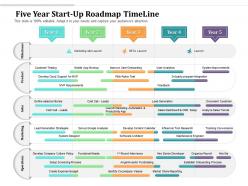 Five year start up roadmap timeline