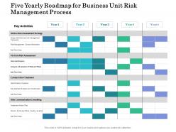 Five yearly roadmap for business unit risk management process
