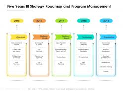 Five Years BI Strategy Roadmap And Program Management