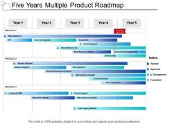 Five years multiple product roadmap