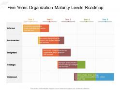 Five years organization maturity levels roadmap