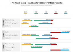 Five years visual roadmap for product portfolio planning