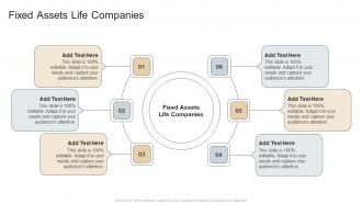 Fixed Assets Life Companies In Powerpoint And Google Slides Cpb