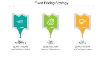 Fixed Pricing Strategy Ppt Powerpoint Presentation Infographics Demonstration Cpb