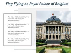Flag Flying On Royal Palace Of Belgium