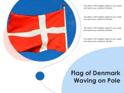 Flag of denmark waving on pole