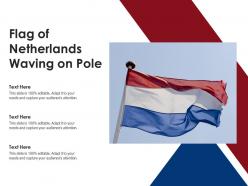 Flag of netherlands waving on pole
