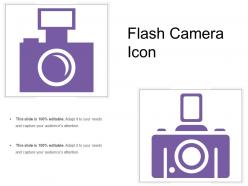 Flash camera icon