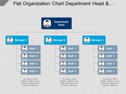 Flat organization chart department head and managers