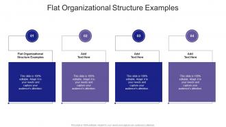 Flat Organizational Structure Examples In Powerpoint And Google Slides Cpb