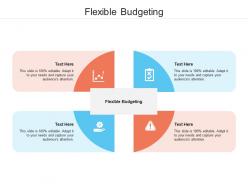 Flexible budgeting ppt powerpoint presentation layouts infographics cpb