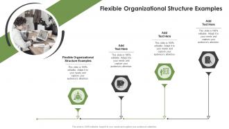 Flexible Organizational Structure Examples In Powerpoint And Google Slides Cpb