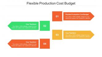 Flexible production cost budget ppt powerpoint presentation ideas design ideas cpb