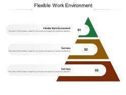 Flexible work environment ppt powerpoint presentation ideas aids cpb