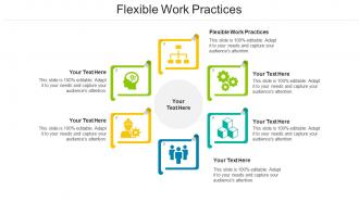 Flexible Work Practices Ppt Powerpoint Presentation Show Aids Cpb