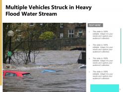 Flood Destruction Stream Traveling Indication Protective