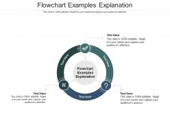 Flowchart examples explanation ppt powerpoint presentation professional pictures cpb