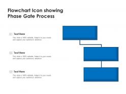 Flowchart icon showing phase gate process