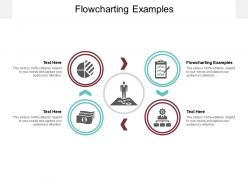Flowcharting examples ppt powerpoint presentation file graphic tips cpb